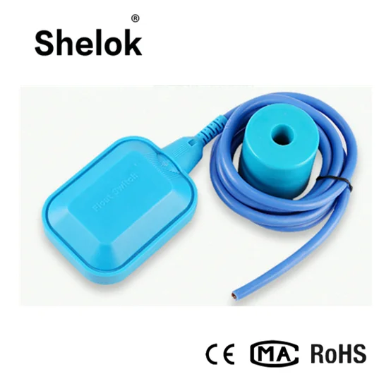 Water level controller switch electrical