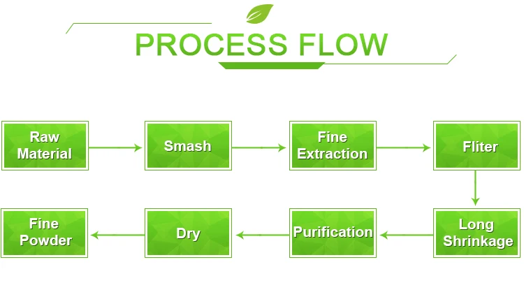 Flow Chart Of Amylase Production