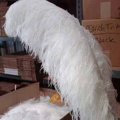 buy white ostrich feathers