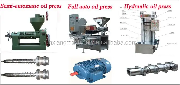 automatic oil press