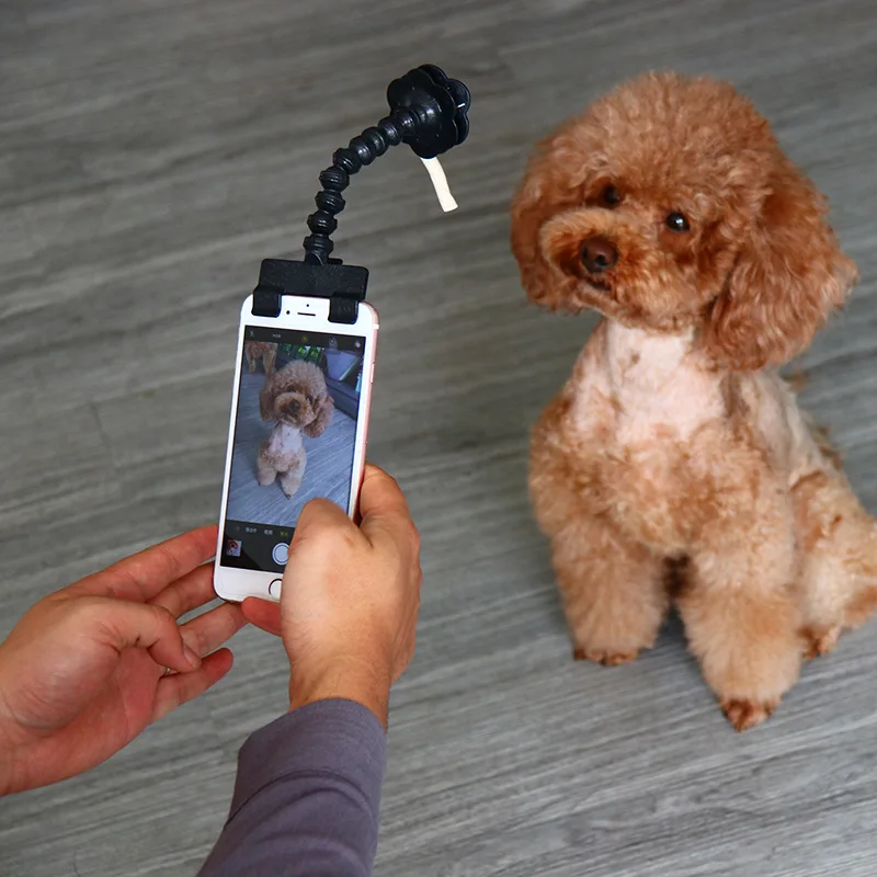 

Pet Selfie Stick for Pets Dog Cat fit iPhone Samsung and Most Smartphone Tablet Black/White, Black and white