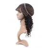 Absolute human hair afro wigs for black men 3 4 wigs,brazilian wigs with baby hair,micro braided lace front wigs with baby hair