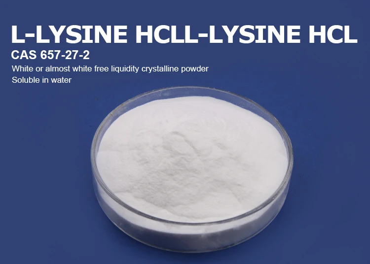 l-lysine-sulphate_03_01.jpg