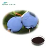 China Supplier Bilberry Fruit Powder Extract 25% Anthocyanins Chinese Method Test