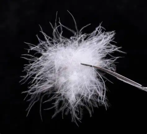 
Washed bulk 10% duck down and 90% duck feather material wholesale 