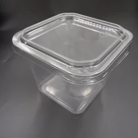 

take away PP PET plastic fruit box disposable food containers