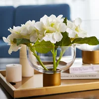 

Bixuan Vases Clear Glass Flower Arrangement Vase with Brass Stand Decor Bowl Candleholder Table Centerpieces, 4.7'' H x 2'' D