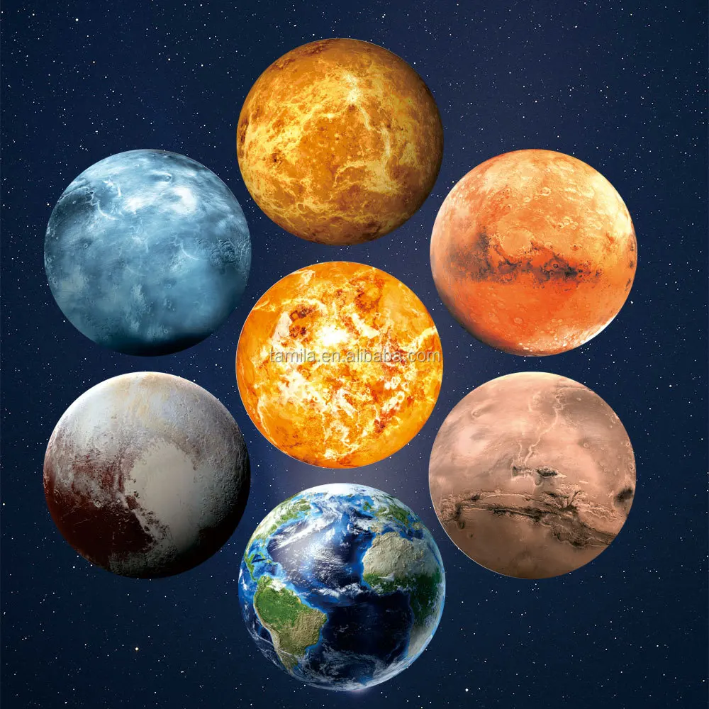 7253299147_1583205111.jpg