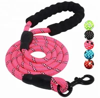 

5 Feet Wholesale Best Nylon Dog Leash