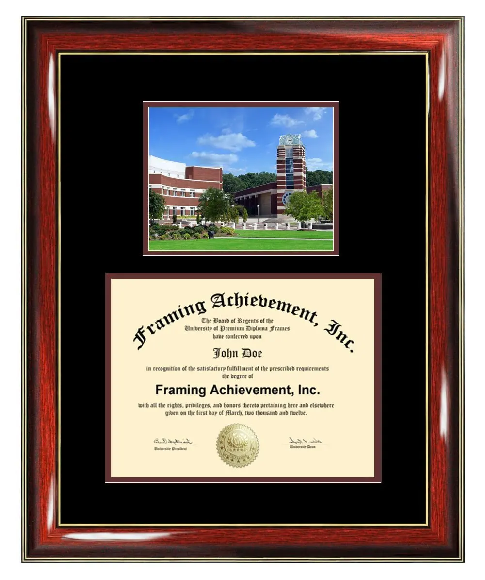 Buy Diploma Frame Big East Carolina University ECU Graduation Gift Case