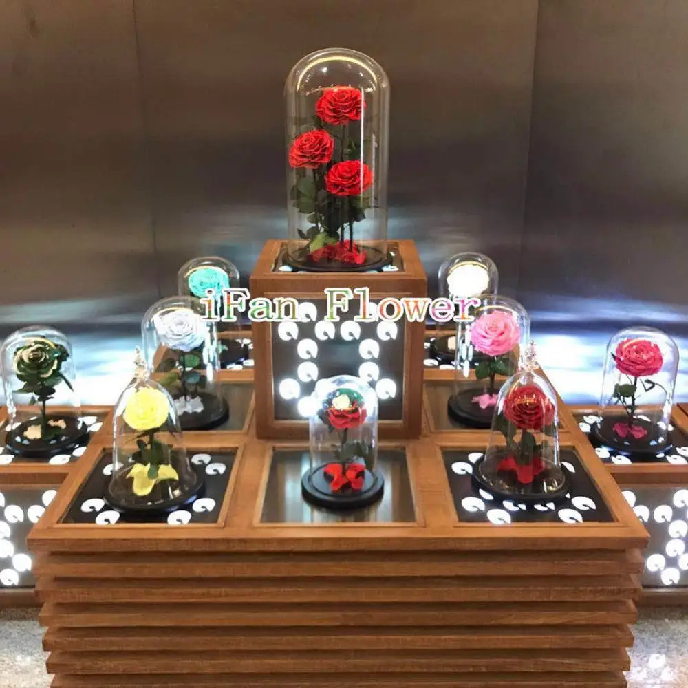 Same As Beauty And The Beast Rose Long Lasting Preserved Stabilized