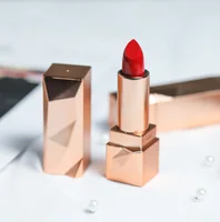 

private label lipstick matte 2019 cosmetics custom logo lipstick matte cruelty free lipstick no label name can do your logo