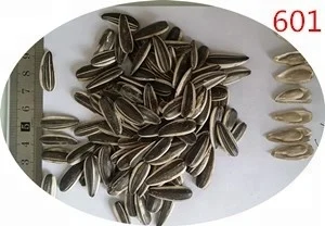 
Chinese factory supply top grade quality seeds sunflower 601 