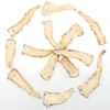 Dried chinese medicine raw herb materials organic angelica sinensis root chinese angelica dang gui