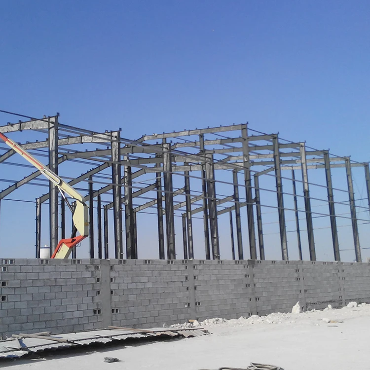 China custom design prefabricated light steel structure building warehouse