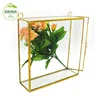 Home decoration brass stands glass plant luxury flower pot // home indoor creative flower pot wall mount