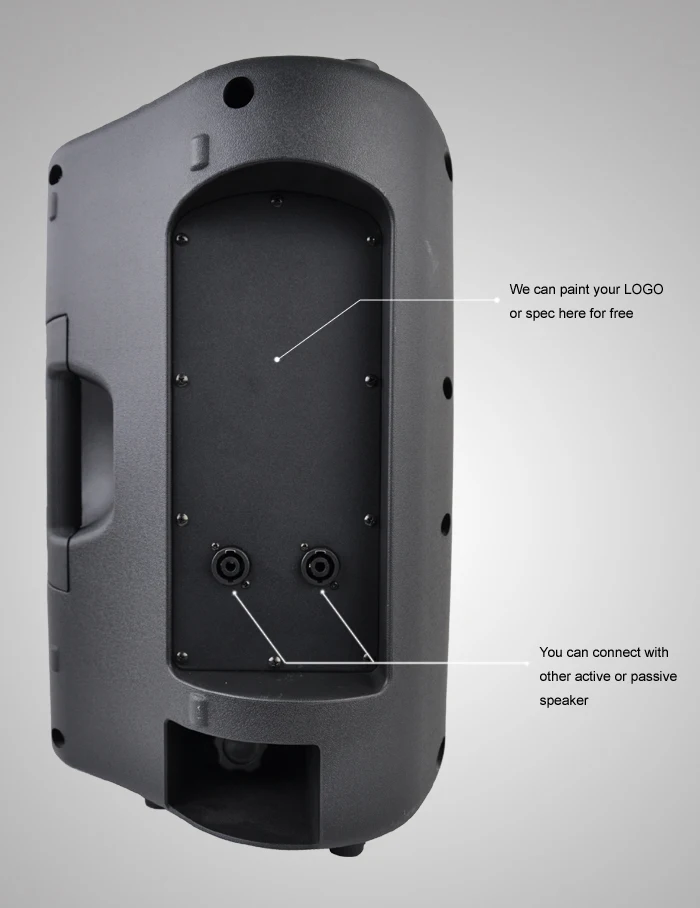 Accuracy Pro Audio Csx15 15 Inch 350w Powered Speaker Stage Monitor