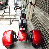 

1000w electric scooter 3 wheel trike/petrol motorcycle Citycoco for adult