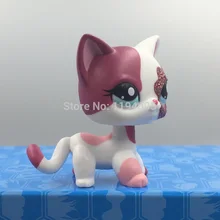 HTB1N50MQVXXXXaxaXXXq6xXFXXXz