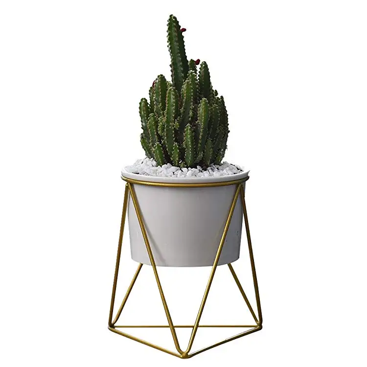 

6 inch White Ceramic Succulent Pot  Indoor Plant Pots with Metal Stand, As photo show or custom
