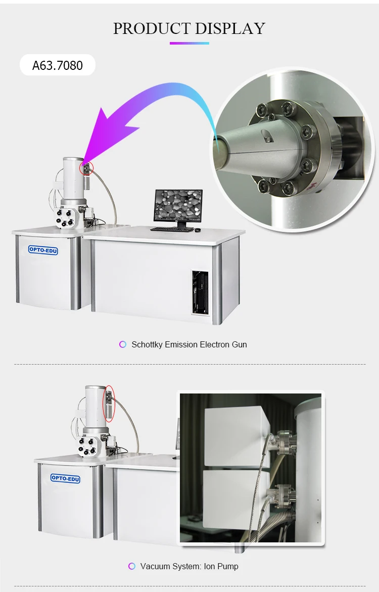 Opto-edu A63.7080 Schottky Field Emission Gun Scanning Electron ...