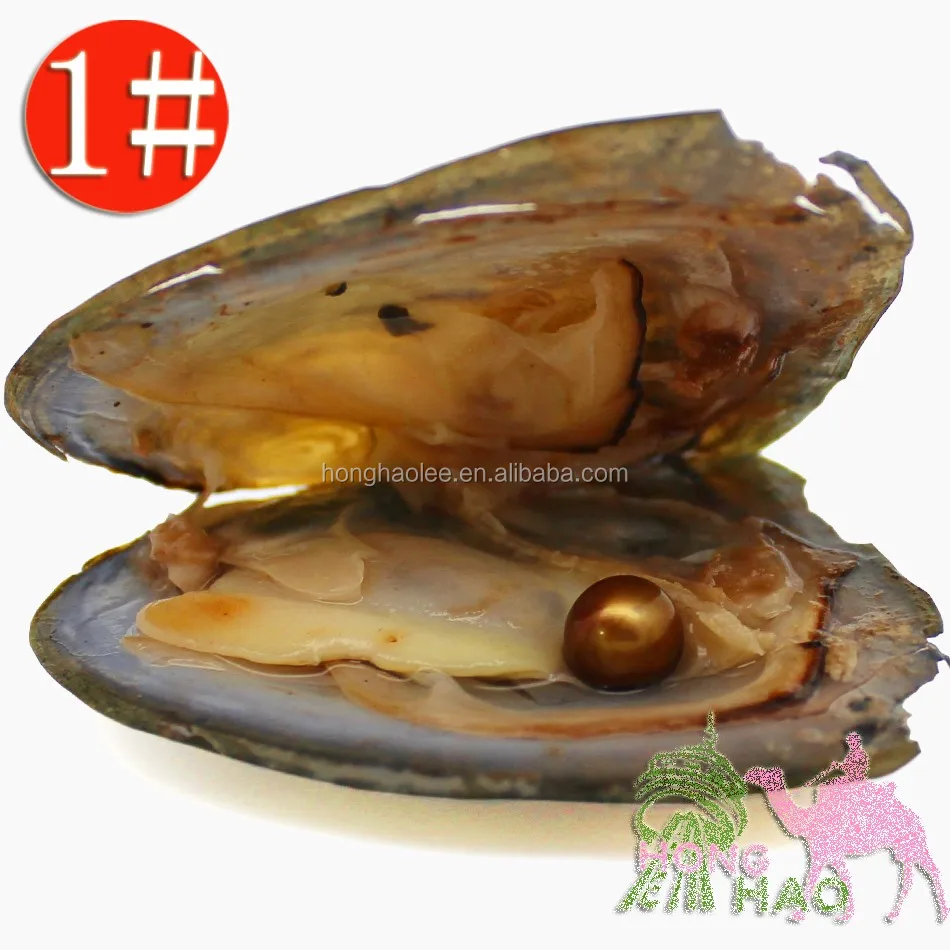 

AAAAAvacuum packed round pearls in oyster zhuji pearls stock many colours, N/a