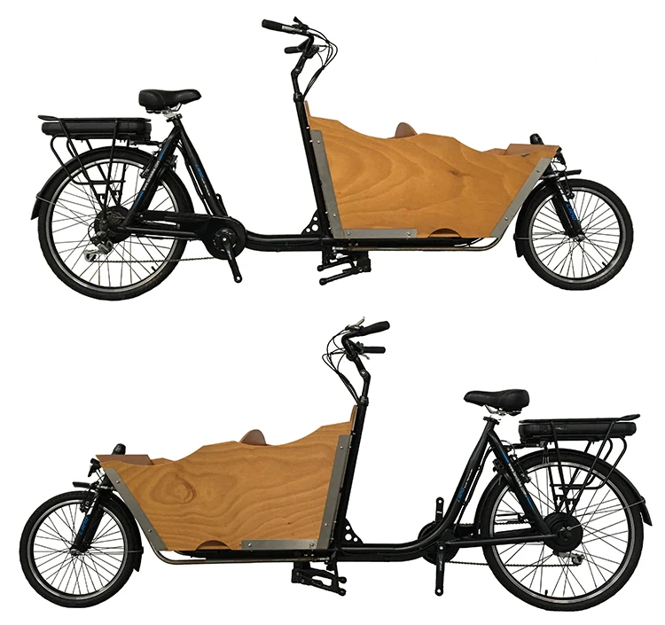Electric Cargo Bike Family