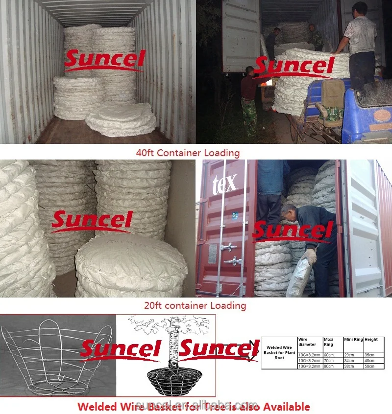 Root Ball Wire Basket For Tree Transplanting Steel Wire Basket Buy Chain Link Rootball Wire