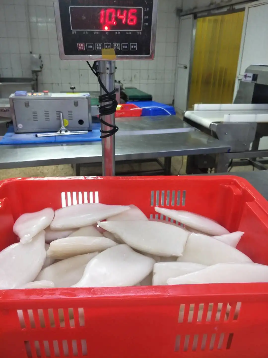 
Frozen Giant Squid Tube U3 U5 