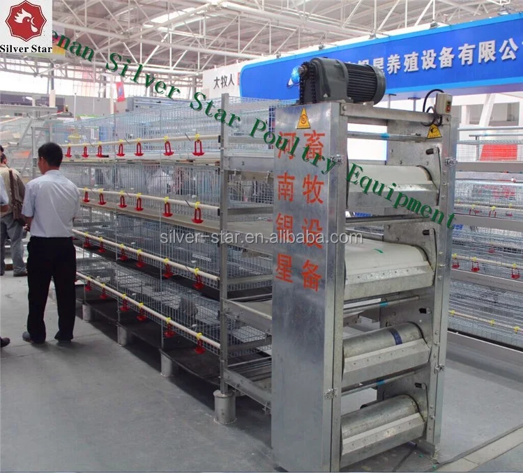 Chine Fabrication Poulailler Pour Poulets De Chair Et De Viande 