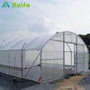 Galvanized steel truss wet wall commercial greenhouse