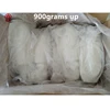 High Quality Whole Round Cleaned Cuttlefish