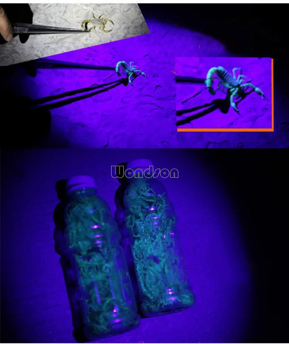 Waterproof Rechargeable Head Light Night Fishing Zoom Ultraviolet Uv