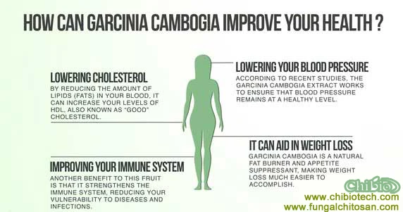 100% Manufacturer Pure Garcinia Cambogia Extract Powder for Weight-loss Lower Appetite Cholesterol