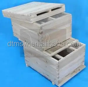 Bee Frame Eyelets, Durable Beehive Eyelet Nest Box Frame End Threading Hole Eyelets Bee Hive Beehive Brass Nest Frame Eyelets Beekeepers Beekeep