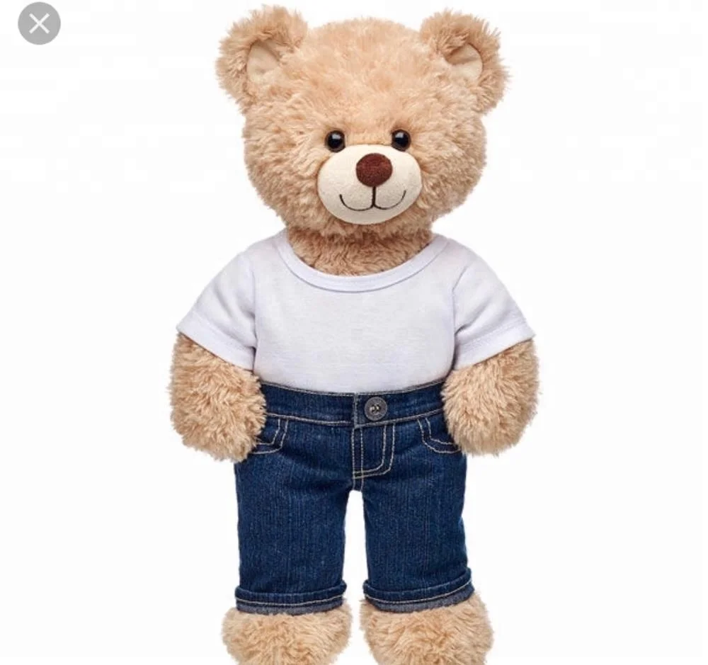 Тедди одежда. Мягкая игрушка медведь в одежде. Мягкая игрушка мишка в одежде. Одежда для Медвежонок плюшевый. Одежда для плюшевого мишки.