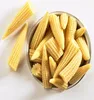 Chinese canned sweet baby corn market price