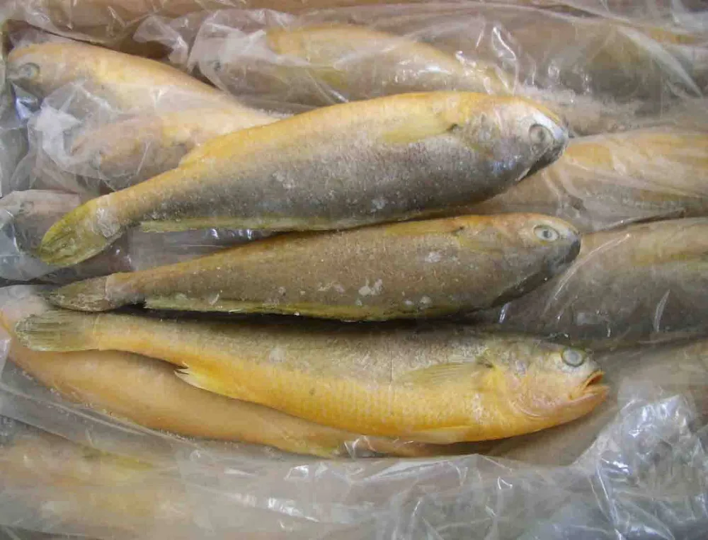 frozen yellow croaker, golden pompano, chite pomfret, frog legs