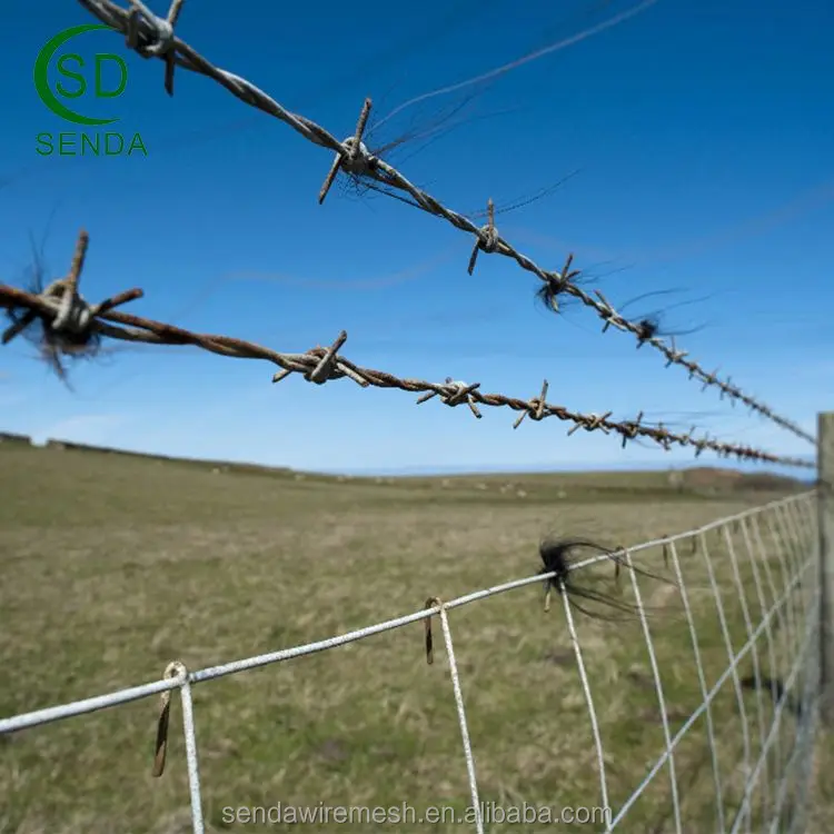 Single Strand Barbed Wire, Single Strand Barbed Wire Suppliers and ...