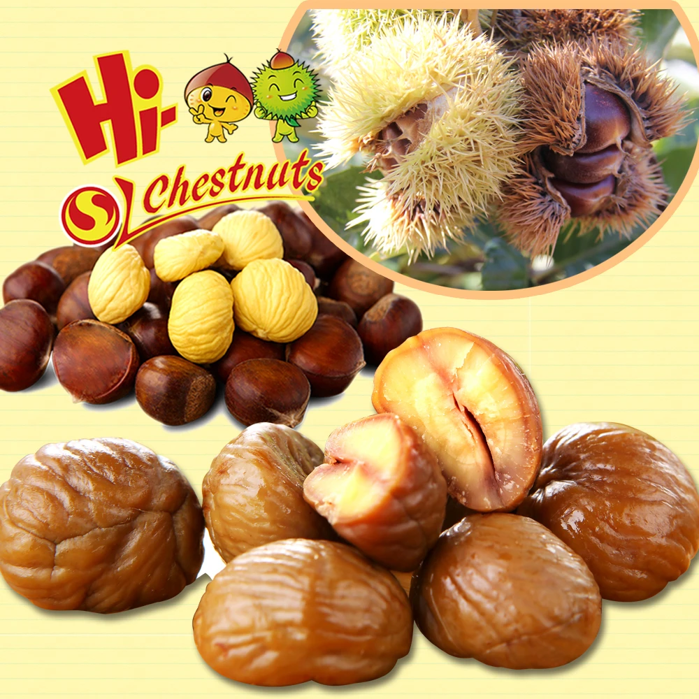 
Wholesale OEM Healthy Chinese Snacks Roasted Chestnuts 