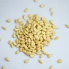 100% Best Quality Low Price Pine Nut Kernels For Sale