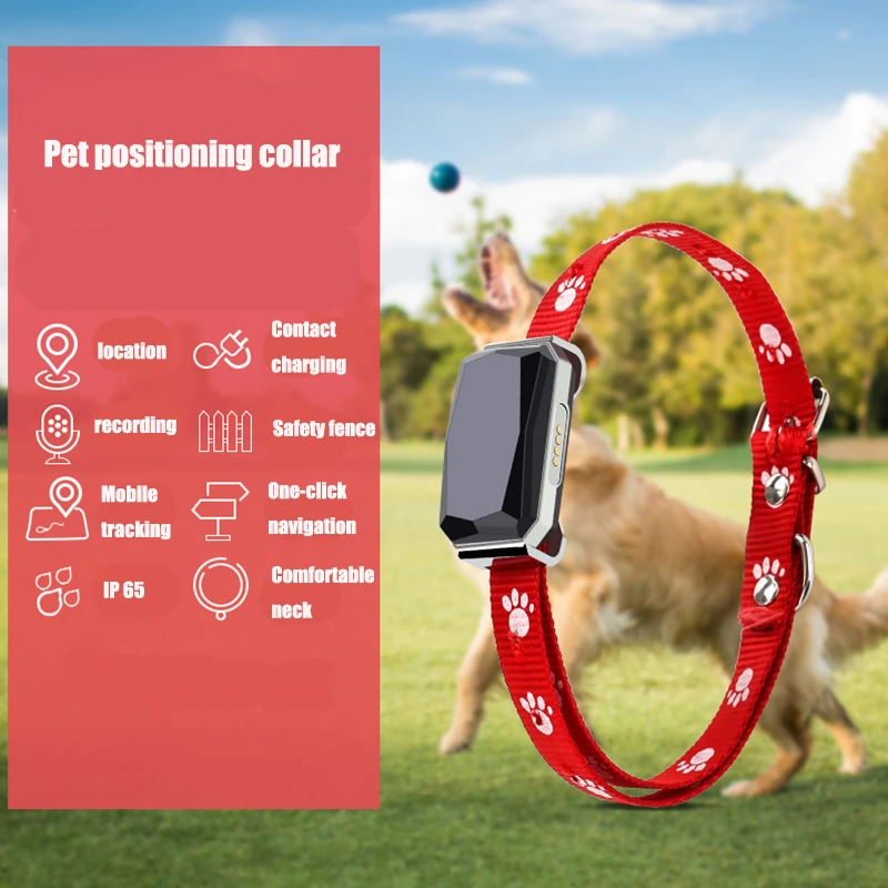 Los 5 Mejores Collares GPS Para Tu Perro, Gato Y Demás Mascotas