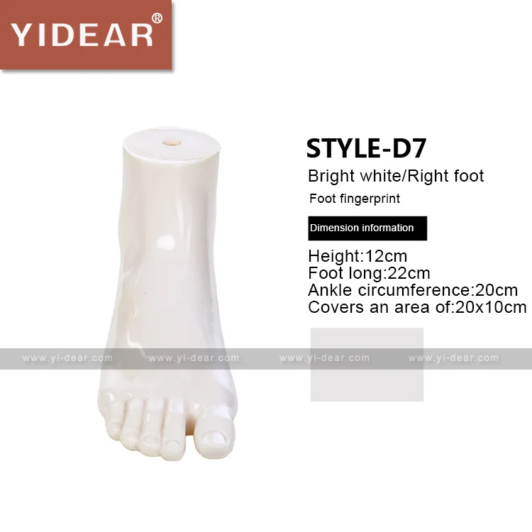 Mannequin Pied Droit MagiDeal - PVC, Pour Chaussures/Chaussettes - Accessoire Commerce Détail