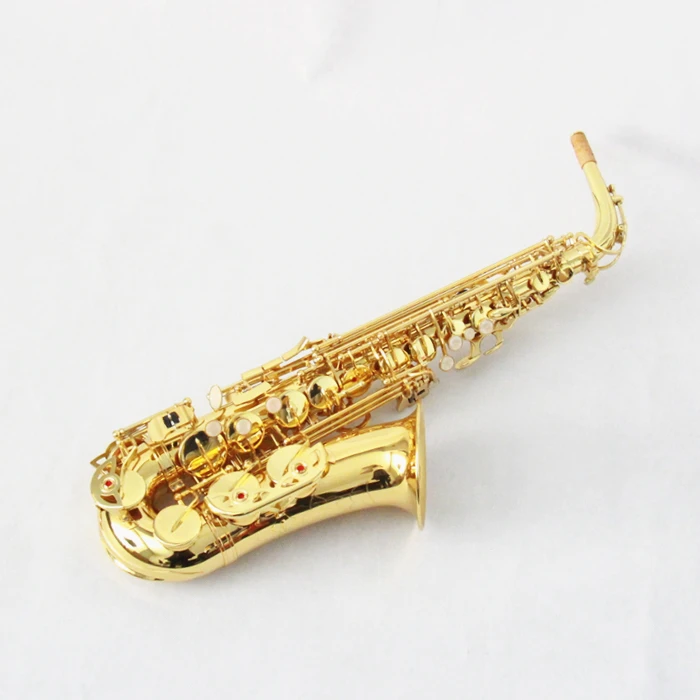 
FOCUS FAS-150 Gold Lacquer Alto Saxophone With case, Reeds etc 