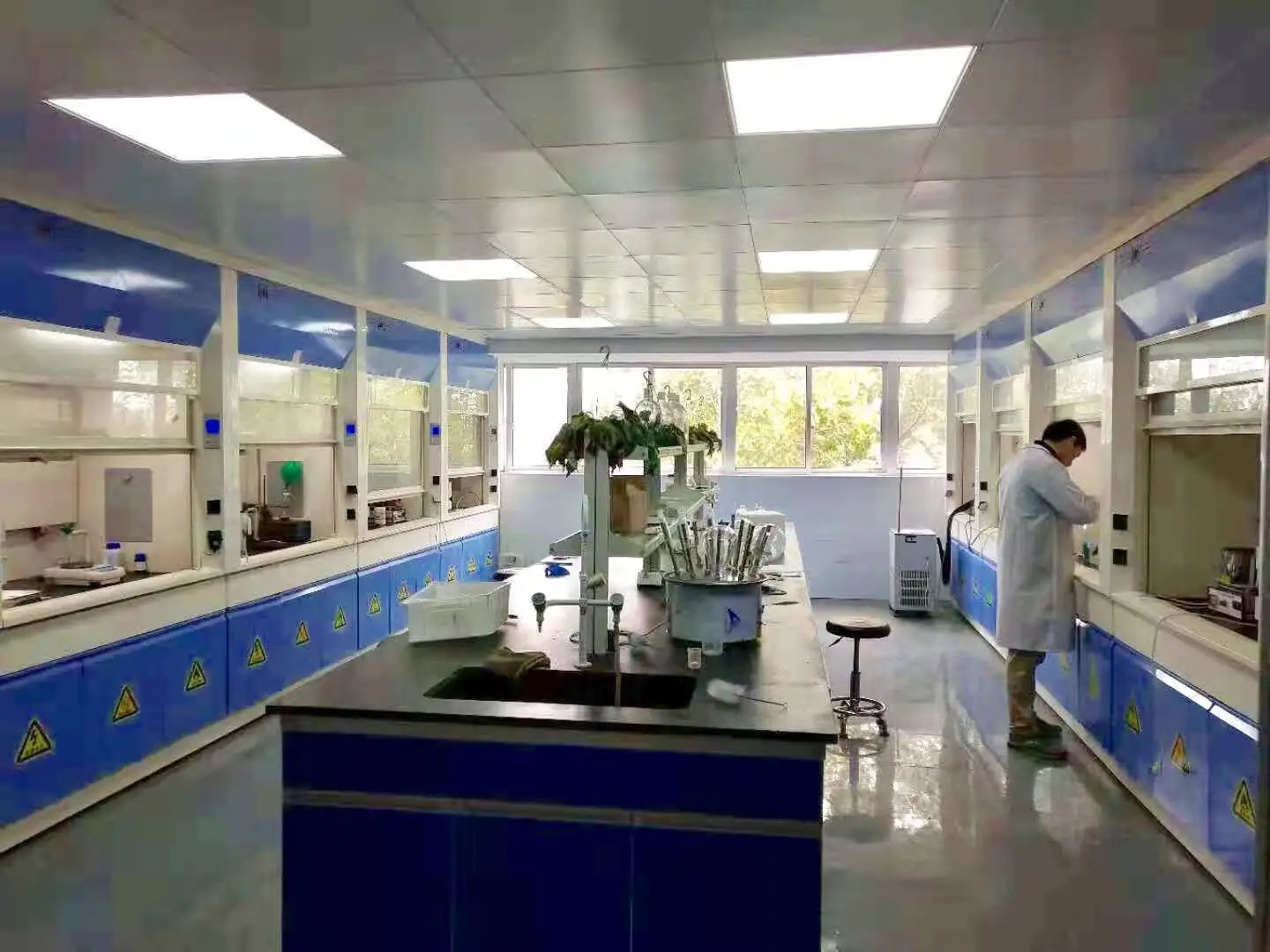 Nootropics Supplements Phenibut 99/phenibut Hcl/phenibut