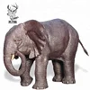 /product-detail/large-antique-life-size-bronze-elephant-statue-for-sale-60759786684.html