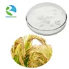High Quality Natural Ferulic Acid Extraction,Water Soluble Ferulic Acid