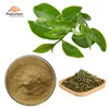 weight loss pharmaceutical grade bulk polyphenol egcg 98% green tea extract