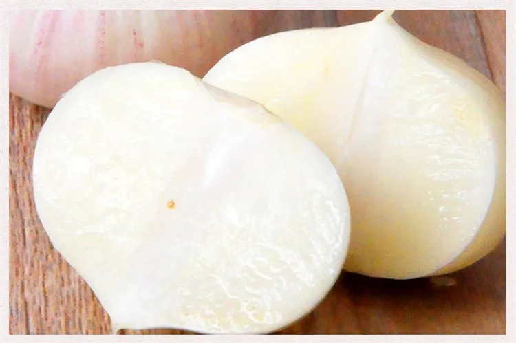 Wholesale fresh white garlic for export