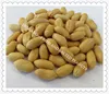 Roasted and salted peanuts in tins/small plastic bag